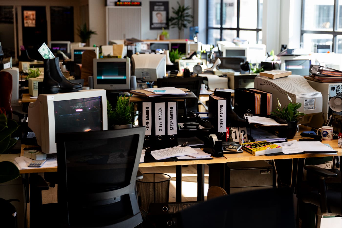 steve madden office